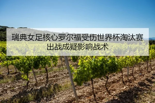 rui-dian-nv-zu-he-xin-luo-er-fu-shou-shang-shi-jie-bei-tao-tai-sai-chu-zhan-cheng-yi-ying-xiang-zhan-shu-2-611.jpg